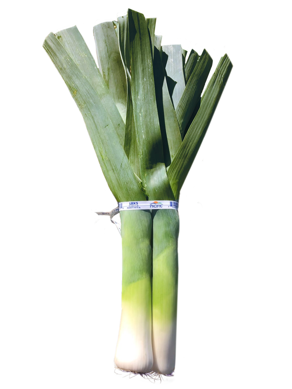 Leeks — Pacific International Marketing